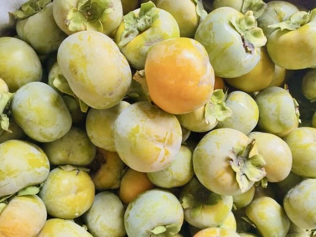 Những giống hồng Đ&agrave; Lạt vừa thơm ngon, ngọt thanh m&agrave; người ti&ecirc;u d&ugrave;ng chưa chắc đ&atilde; biết hết - Ảnh 2.