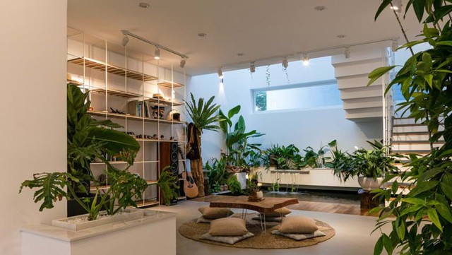 B&iacute; quyết đẩy l&ugrave;i vận xui gi&uacute;p ng&ocirc;i nh&agrave; của bạn lu&ocirc;n tr&agrave;n ngập năng lượng tốt - Ảnh 2.