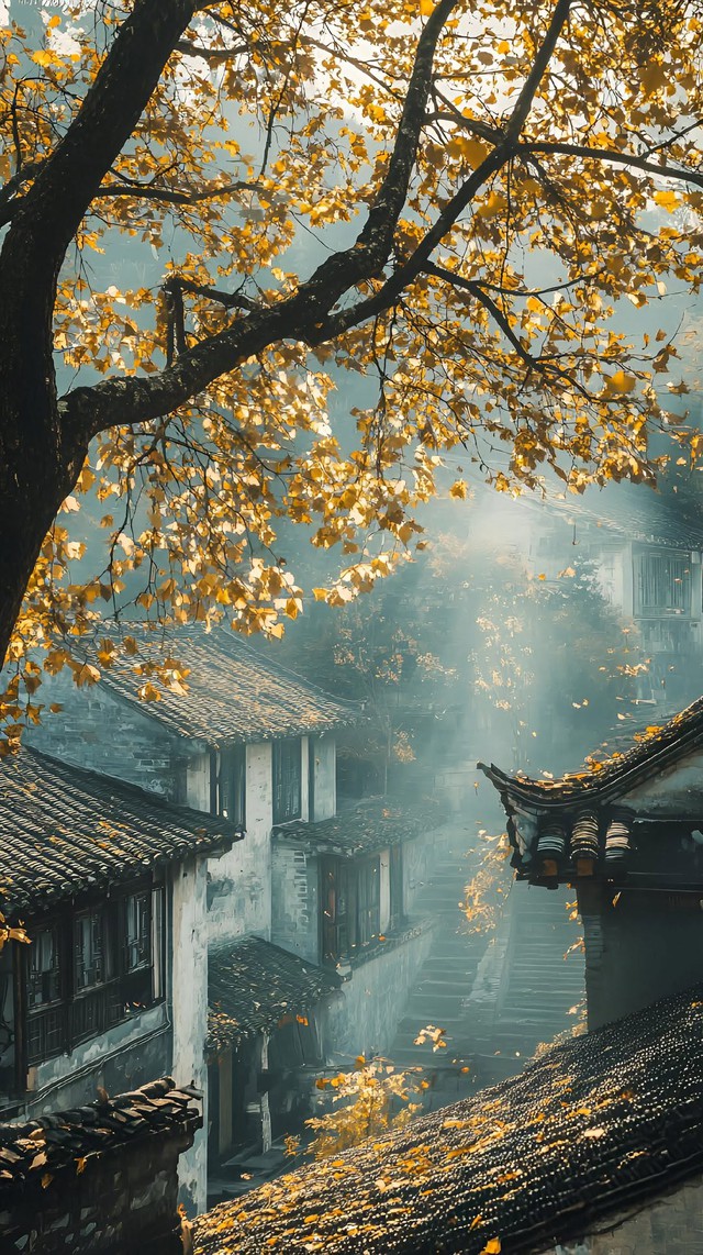 Th&aacute;ng sinh &Acirc;m lịch của người kh&oacute; bị lu mờ: Đi đến đ&acirc;u cũng dễ trở th&agrave;nh t&acirc;m điểm - Ảnh 4.