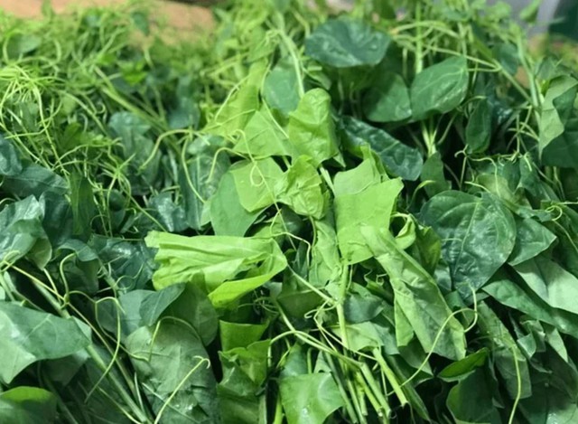 Rau b&ograve; khai - vị thuốc hỗ trợ ti&ecirc;u h&oacute;a v&agrave; giải độc tự nhi&ecirc;n hiệu quả - Ảnh 2.