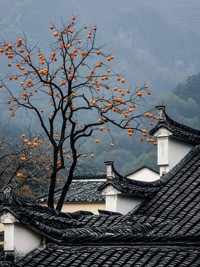 Tháng sinh Âm lịch của người có cuộc đời ít phải lo toan, hậu vận giàu sang - Ảnh 2.
