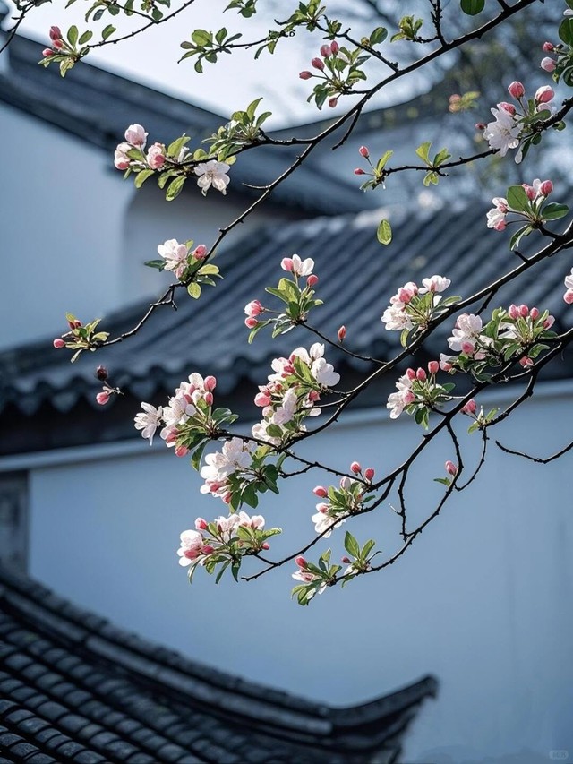 Ng&agrave;y sinh &Acirc;m lịch của người c&oacute; tư duy t&aacute;o bạo: Kh&ocirc;ng ngại đi ngược số đ&ocirc;ng - Ảnh 1.