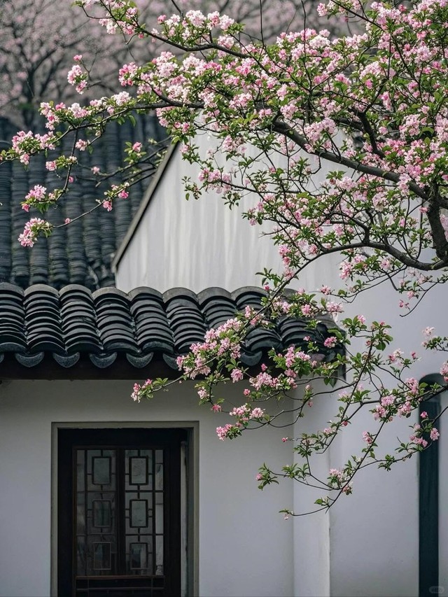Ng&agrave;y sinh &Acirc;m lịch của người c&oacute; tư duy t&aacute;o bạo: Kh&ocirc;ng ngại đi ngược số đ&ocirc;ng - Ảnh 3.