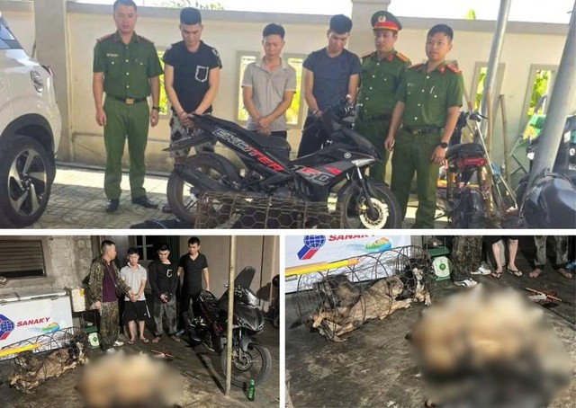 Nh&oacute;m đối tượng trộm ch&oacute; trong đ&ecirc;m - Ảnh 1.