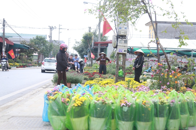Cảnh tất bật tại làng hoa Ninh Phúc , Ninh Bình những ngày cận Tết Nguyên đán 2026 - Ảnh 15. Cảnh tất bật tại làng hoa Ninh Phúc , Ninh Bình những ngày cận Tết Nguyên đán 2026 - Ảnh 15.