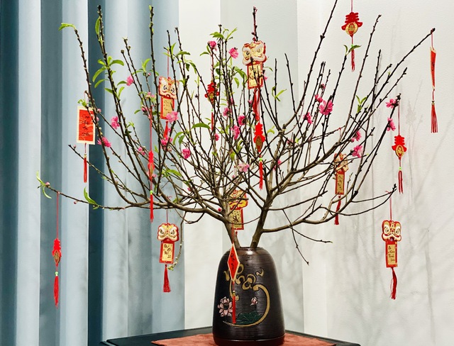 Đ&agrave;o mini g&aacute; v&agrave;i chục ngh&igrave;n đồng/c&agrave;nh h&uacute;t kh&aacute;ch chơi dịp Tết 2026 - Ảnh 4.