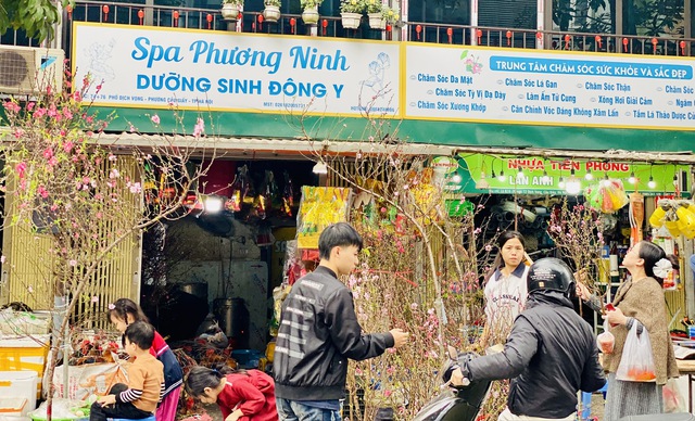 Đ&agrave;o mini g&aacute; v&agrave;i chục ngh&igrave;n đồng/c&agrave;nh h&uacute;t kh&aacute;ch chơi dịp Tết 2026 - Ảnh 3.