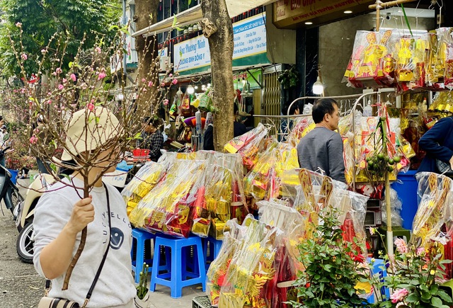 Đ&agrave;o mini g&aacute; v&agrave;i chục ngh&igrave;n đồng/c&agrave;nh h&uacute;t kh&aacute;ch chơi dịp Tết 2026 - Ảnh 1.