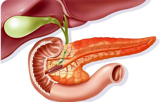 Nam sinh vi&ecirc;m tụy cấp, mỡ m&aacute;u cao gấp 47 lần thừa nhận một sai lầm nhiều bạn trẻ Việt mắc phải - Ảnh 2.