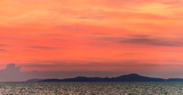 12 cung ho&agrave;ng đạo năm 2026 v&agrave; gam m&agrave;u may mắn quyết định vận tr&igrave;nh cả năm - Ảnh 1.