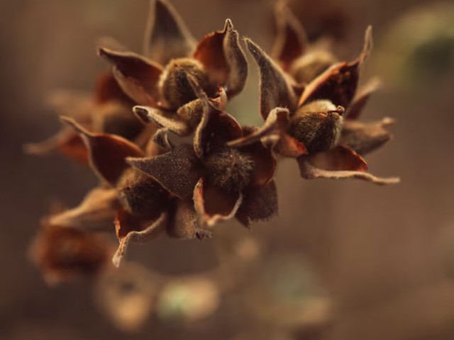 12 cung ho&agrave;ng đạo năm 2026 v&agrave; gam m&agrave;u may mắn quyết định vận tr&igrave;nh cả năm - Ảnh 4.