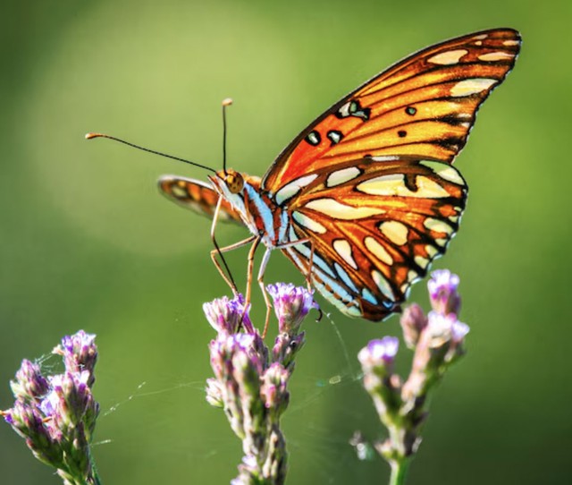 Sống tốt chưa chắc bằng sinh đ&uacute;ng ng&agrave;y: 4 ng&agrave;y &Acirc;m lịch đại c&aacute;t, ph&uacute;c lộc k&eacute;o d&agrave;i nhiều thế hệ - Ảnh 2.