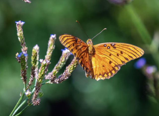 Sống tốt chưa chắc bằng sinh đ&uacute;ng ng&agrave;y: 4 ng&agrave;y &Acirc;m lịch đại c&aacute;t, ph&uacute;c lộc k&eacute;o d&agrave;i nhiều thế hệ - Ảnh 3.