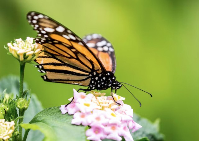 Sống tốt chưa chắc bằng sinh đ&uacute;ng ng&agrave;y: 4 ng&agrave;y &Acirc;m lịch đại c&aacute;t, ph&uacute;c lộc k&eacute;o d&agrave;i nhiều thế hệ - Ảnh 4.