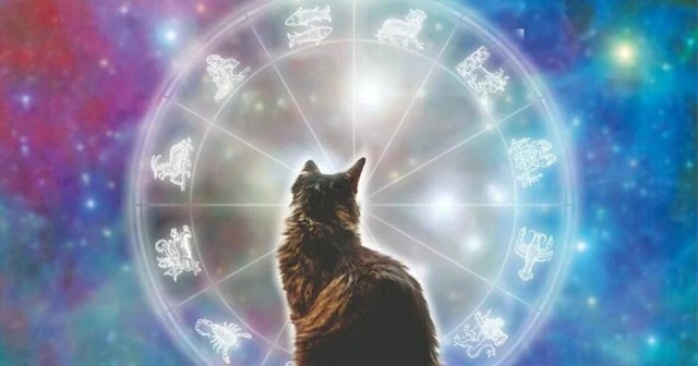 5 Con gi&aacute;p phạm Th&aacute;i Tuế năm 2026 v&agrave; c&aacute;ch c&uacute;ng giải hạn hiệu quả - Ảnh 2.