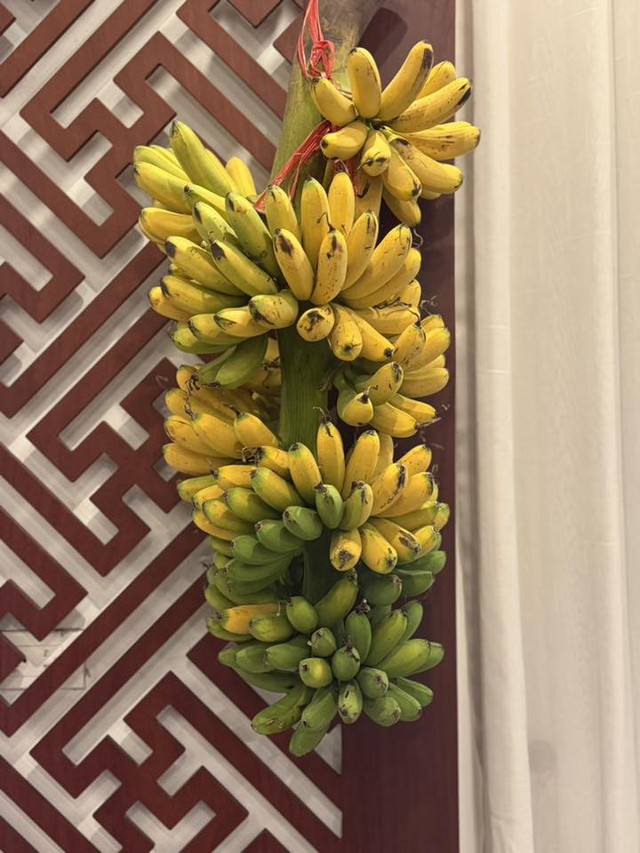 Kh&ocirc;ng kh&iacute; Tết rộn r&agrave;ng trong biệt thự của Tuấn Hưng năm 2026 - Ảnh 2.