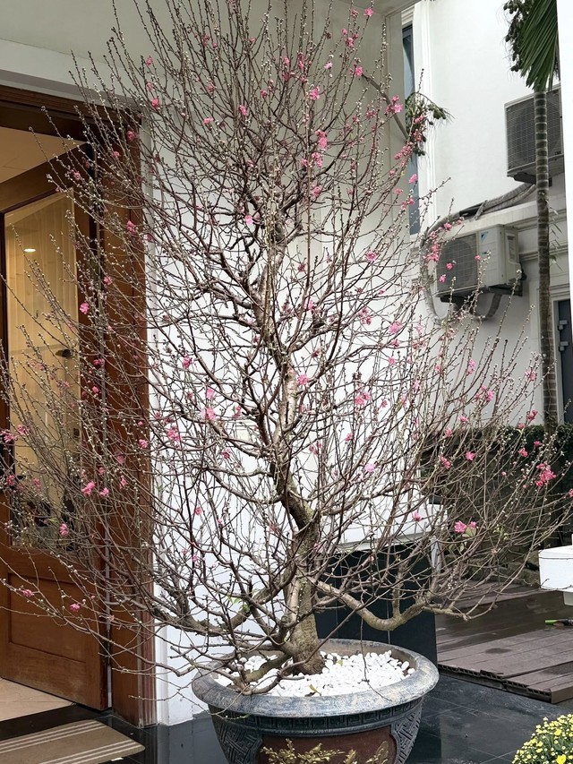 Kh&ocirc;ng kh&iacute; Tết rộn r&agrave;ng trong biệt thự của Tuấn Hưng năm 2026 - Ảnh 5.