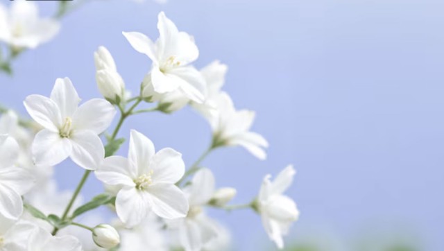 Th&aacute;ng sinh &Acirc;m lịch của người quyết đo&aacute;n: Số mệnh t&ocirc;i luyện th&agrave;nh người dẫn đầu - Ảnh 2.