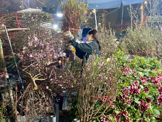 Chợ đầu mối hoa lớn bậc nhất Thủ đô tất bật xuyên đêm dịp cận Tết 2026 - Ảnh 6. Chợ đầu mối hoa lớn bậc nhất Thủ đô tất bật xuyên đêm dịp cận Tết 2026 - Ảnh 6.