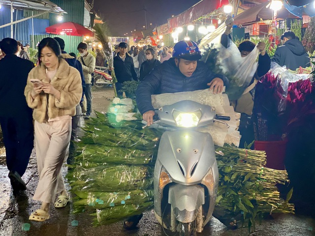 Chợ đầu mối hoa lớn bậc nhất Thủ đô tất bật xuyên đêm dịp cận Tết 2026 - Ảnh 16. Chợ đầu mối hoa lớn bậc nhất Thủ đô tất bật xuyên đêm dịp cận Tết 2026 - Ảnh 16.