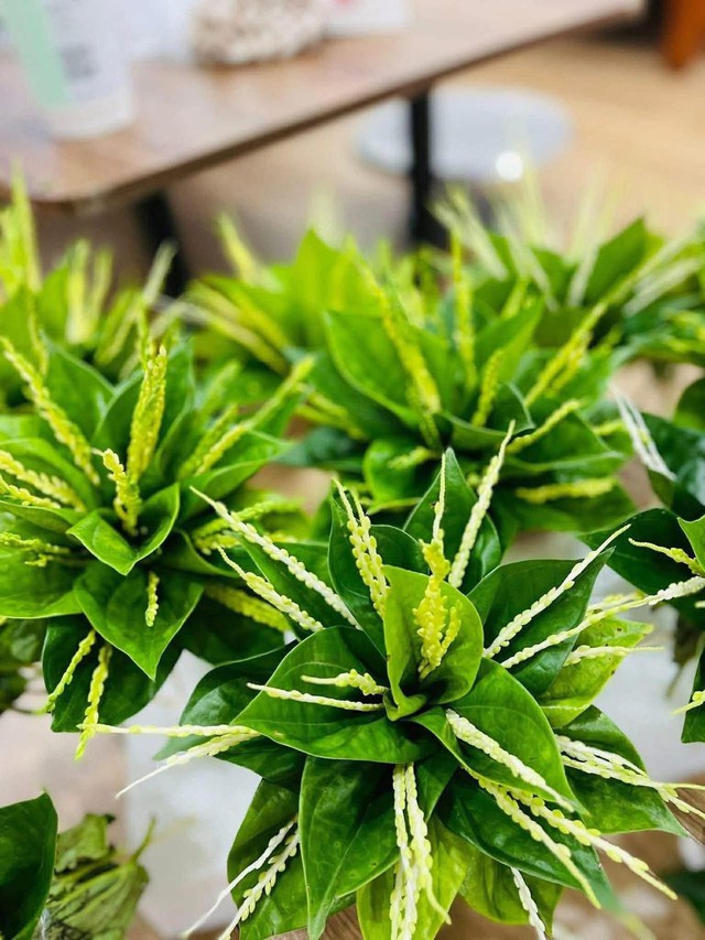 Người dân tất bật chuẩn bị đồ lễ đầu năm mới 2026 - Ảnh 8. Người dân tất bật chuẩn bị đồ lễ đầu năm mới 2026 - Ảnh 8.