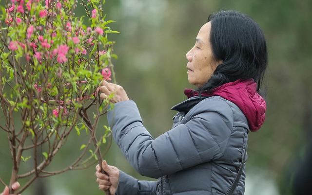 Th&ocirc;ng b&aacute;o quan trọng cho hộ kinh doanh v&agrave; quy định bảo hiểm x&atilde; hội năm 2026 - Ảnh 5.