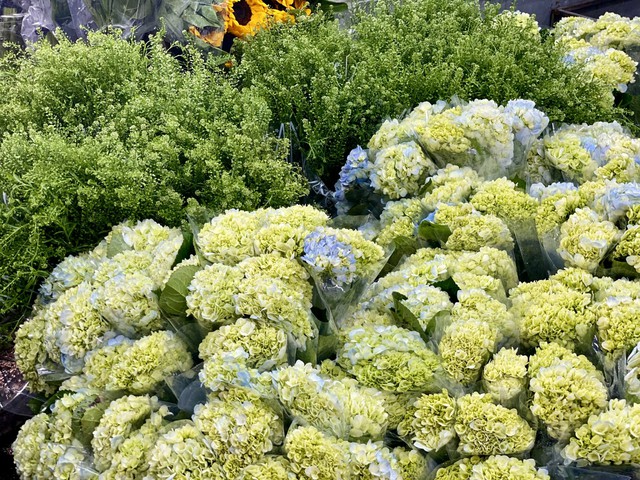 Những loại hoa n&agrave;o được chị em &ldquo;săn đ&oacute;n&rdquo; trong dịp Tết 2026? - Ảnh 17.