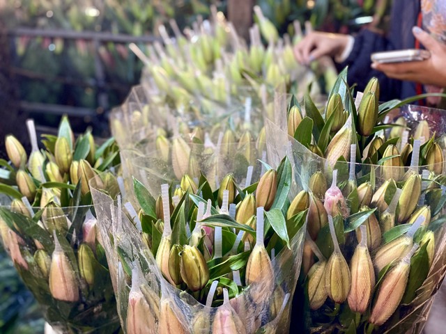 Những loại hoa n&agrave;o được chị em &ldquo;săn đ&oacute;n&rdquo; trong dịp Tết 2026? - Ảnh 13.