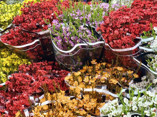 Những loại hoa n&agrave;o được chị em &ldquo;săn đ&oacute;n&rdquo; trong dịp Tết 2026? - Ảnh 18.