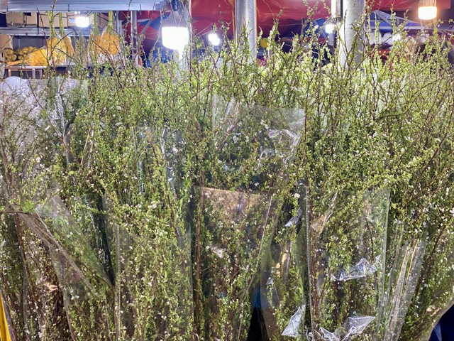 Những loại hoa n&agrave;o được chị em &ldquo;săn đ&oacute;n&rdquo; trong dịp Tết 2026? - Ảnh 19.