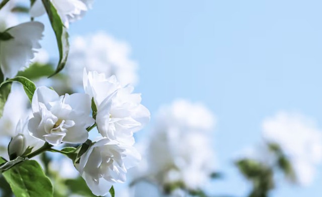 Số cuối ng&agrave;y sinh &Acirc;m lịch tiết lộ người s&acirc;u sắc, đ&atilde; cam kết l&agrave; kh&ocirc;ng rời bỏ - Ảnh 2.