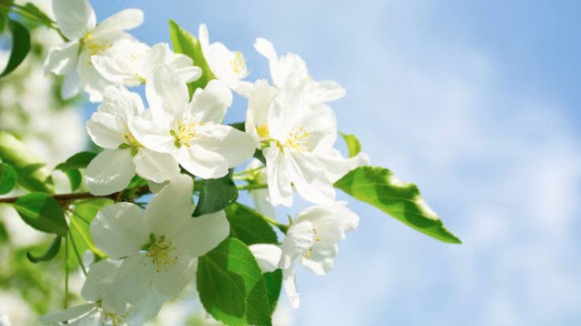 Số cuối ng&agrave;y sinh &Acirc;m lịch tiết lộ người s&acirc;u sắc, đ&atilde; cam kết l&agrave; kh&ocirc;ng rời bỏ - Ảnh 4.