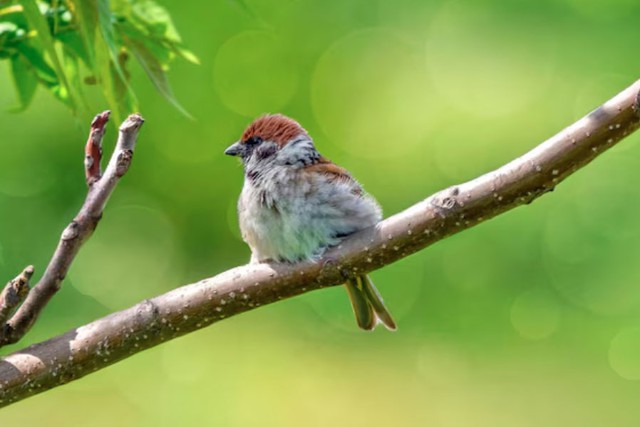 Những ng&agrave;y sinh &Acirc;m lịch được cho l&agrave; 'để ph&uacute;c cho con' - Ảnh 3.