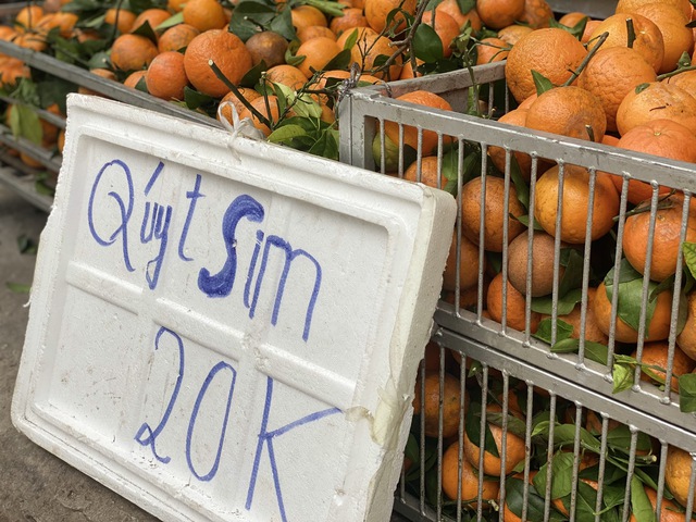 Qu&yacute;t sim &lsquo;xả&rsquo; đầy chợ, gi&aacute; rẻ b&egrave;o chỉ hơn chục ngh&igrave;n đồng/kg - Ảnh 1.