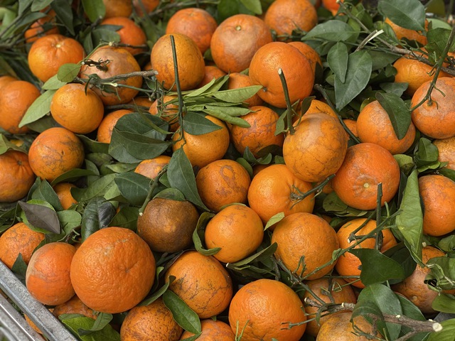 Qu&yacute;t sim &lsquo;xả&rsquo; đầy chợ, gi&aacute; rẻ b&egrave;o chỉ hơn chục ngh&igrave;n đồng/kg - Ảnh 2.