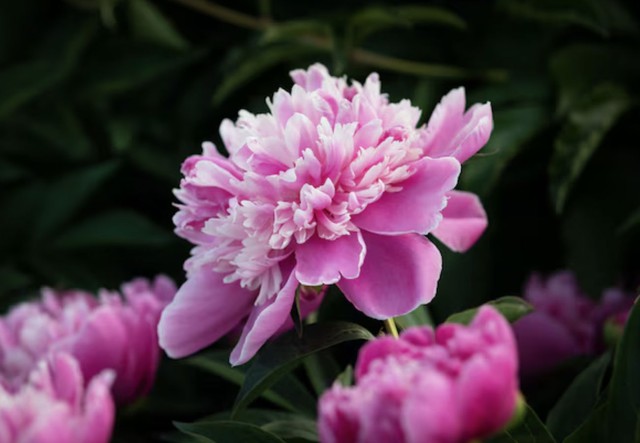 Số cuối ng&agrave;y sinh &Acirc;m lịch của người phụ nữ gi&agrave;u t&igrave;nh cảm, hậu vận kh&ocirc;ng lo thiếu thốn - Ảnh 5.