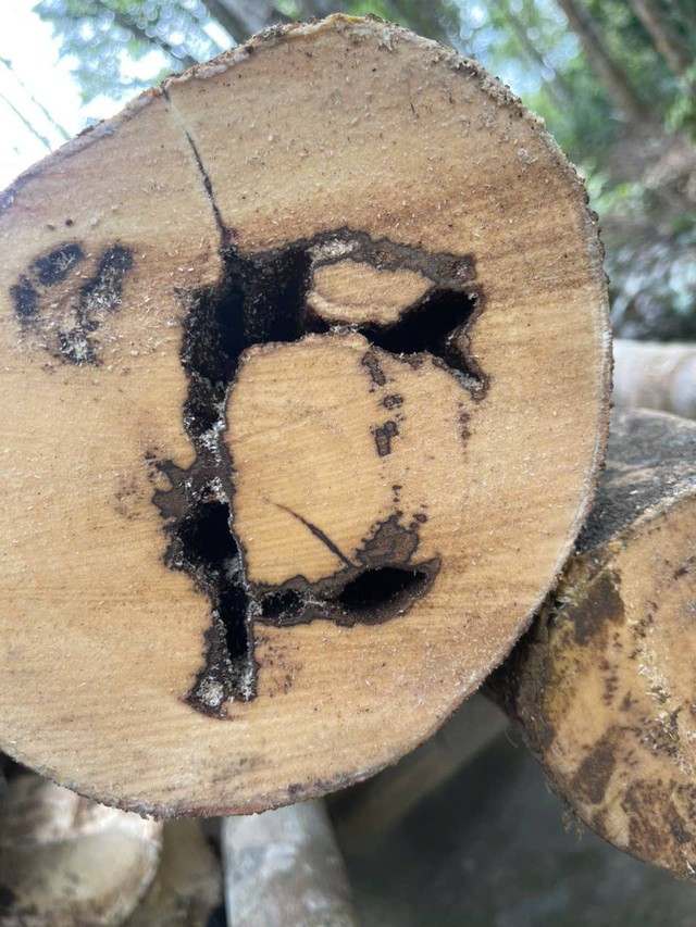 L&agrave;ng nghề trầm hương H&agrave; Tĩnh tất bật v&agrave;o vụ Tết - Ảnh 2.