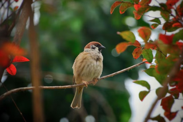 4 khung giờ sinh &Acirc;m lịch mang ph&uacute;c kh&iacute;, tuổi gi&agrave; đủ đầy, thong dong - Ảnh 2.