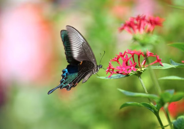 Số cuối ng&agrave;y sinh &Acirc;m lịch tiết lộ người kh&ocirc;n ngoan: C&agrave;ng lớn tuổi c&agrave;ng ph&aacute;t t&agrave;i - Ảnh 2.
