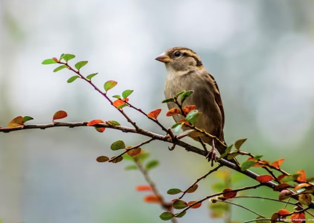 4 khung giờ sinh &Acirc;m lịch mang ph&uacute;c kh&iacute;, tuổi gi&agrave; đủ đầy, thong dong - Ảnh 3.