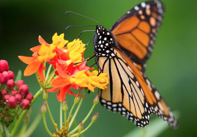 Số cuối ng&agrave;y sinh &Acirc;m lịch tiết lộ người kh&ocirc;n ngoan: C&agrave;ng lớn tuổi c&agrave;ng ph&aacute;t t&agrave;i - Ảnh 4.