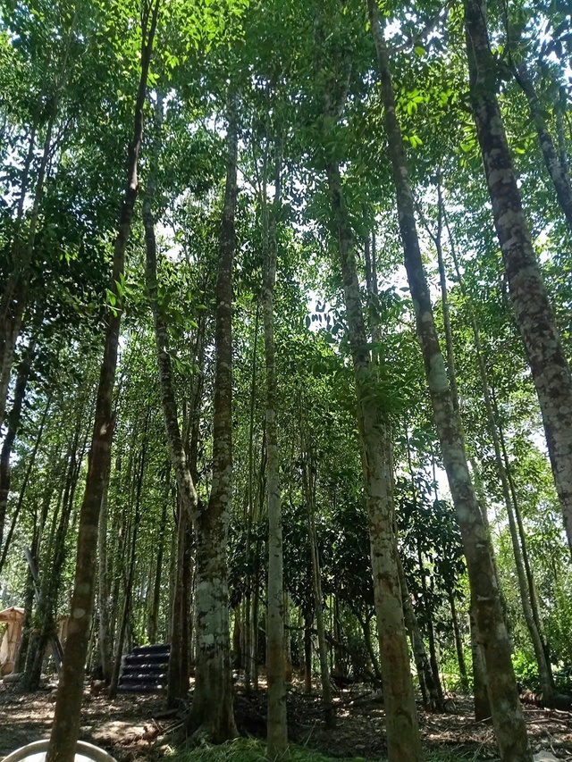 L&agrave;ng nghề trầm hương H&agrave; Tĩnh tất bật v&agrave;o vụ Tết - Ảnh 1.