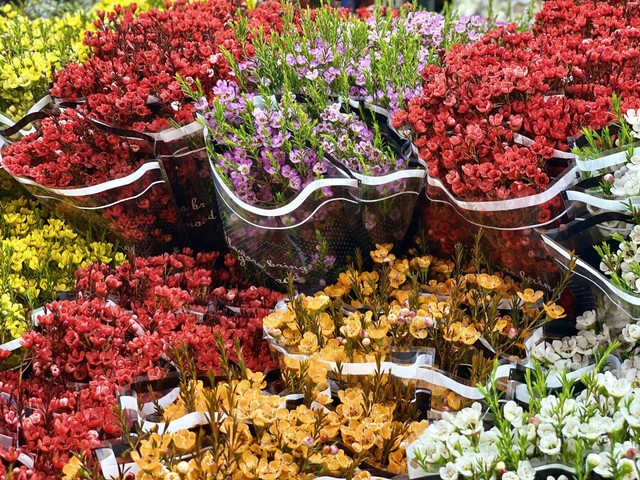 Những loại hoa n&agrave;o đang được chị em thi nhau &lsquo;săn đ&oacute;n&rsquo; trong dịp Rằm th&aacute;ng Gi&ecirc;ng năm 2026? - Ảnh 9.