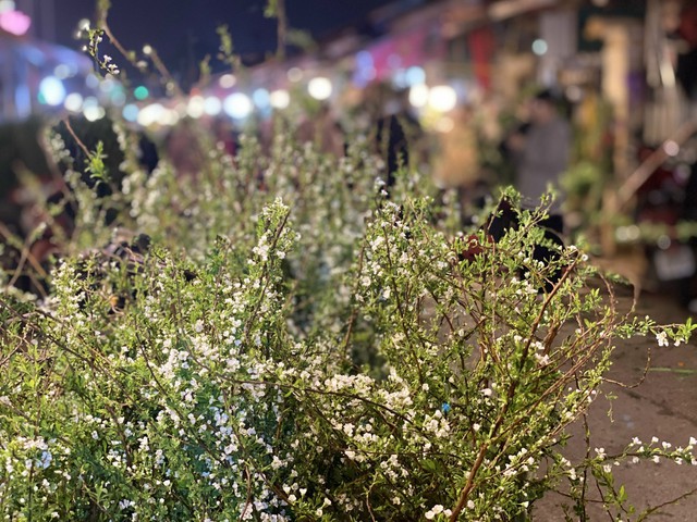 Những loại hoa n&agrave;o đang được chị em thi nhau &lsquo;săn đ&oacute;n&rsquo; trong dịp Rằm th&aacute;ng Gi&ecirc;ng năm 2026? - Ảnh 13.