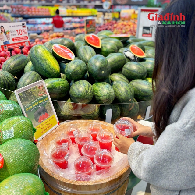 Chỉ 8.500 đồng/kg, dưa hấu Gia Lai rẻ bất ngờ giữa l&uacute;c gi&aacute; xăng dầu tăng - Ảnh 3.