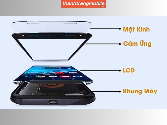 - Ảnh 2. - Ảnh 2.