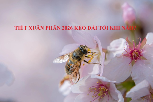 Tiết Xuân Phân 2026 kéo dài bao lâu? Những điều cần biết để kích hoạt tài lộc, sức khỏe - Ảnh 2. Tiết Xuân Phân 2026 kéo dài bao lâu? Những điều cần biết để kích hoạt tài lộc, sức khỏe - Ảnh 2.