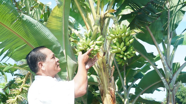 Tin s&aacute;ng 4/3: Th&ecirc;m một trường hợp được nghỉ hưu sớm kh&ocirc;ng bị trừ lương hưu; quy định mới nhất li&ecirc;n quan đến đăng k&yacute; thường tr&uacute; từ ng&agrave;y 15/3 tới đ&acirc;y - Ảnh 5.