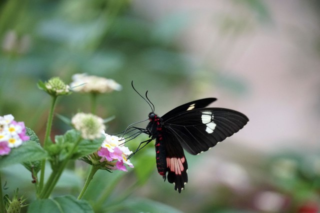 4 khung giờ sinh &Acirc;m lịch b&aacute;o hiệu cuộc đời đủ đầy, về gi&agrave; được hưởng lộc con ch&aacute;u - Ảnh 1.