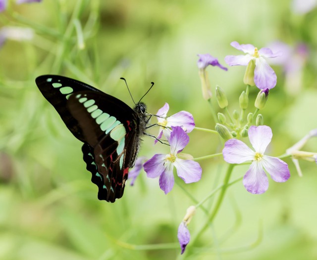 4 khung giờ sinh &Acirc;m lịch b&aacute;o hiệu cuộc đời đủ đầy, về gi&agrave; được hưởng lộc con ch&aacute;u - Ảnh 2.